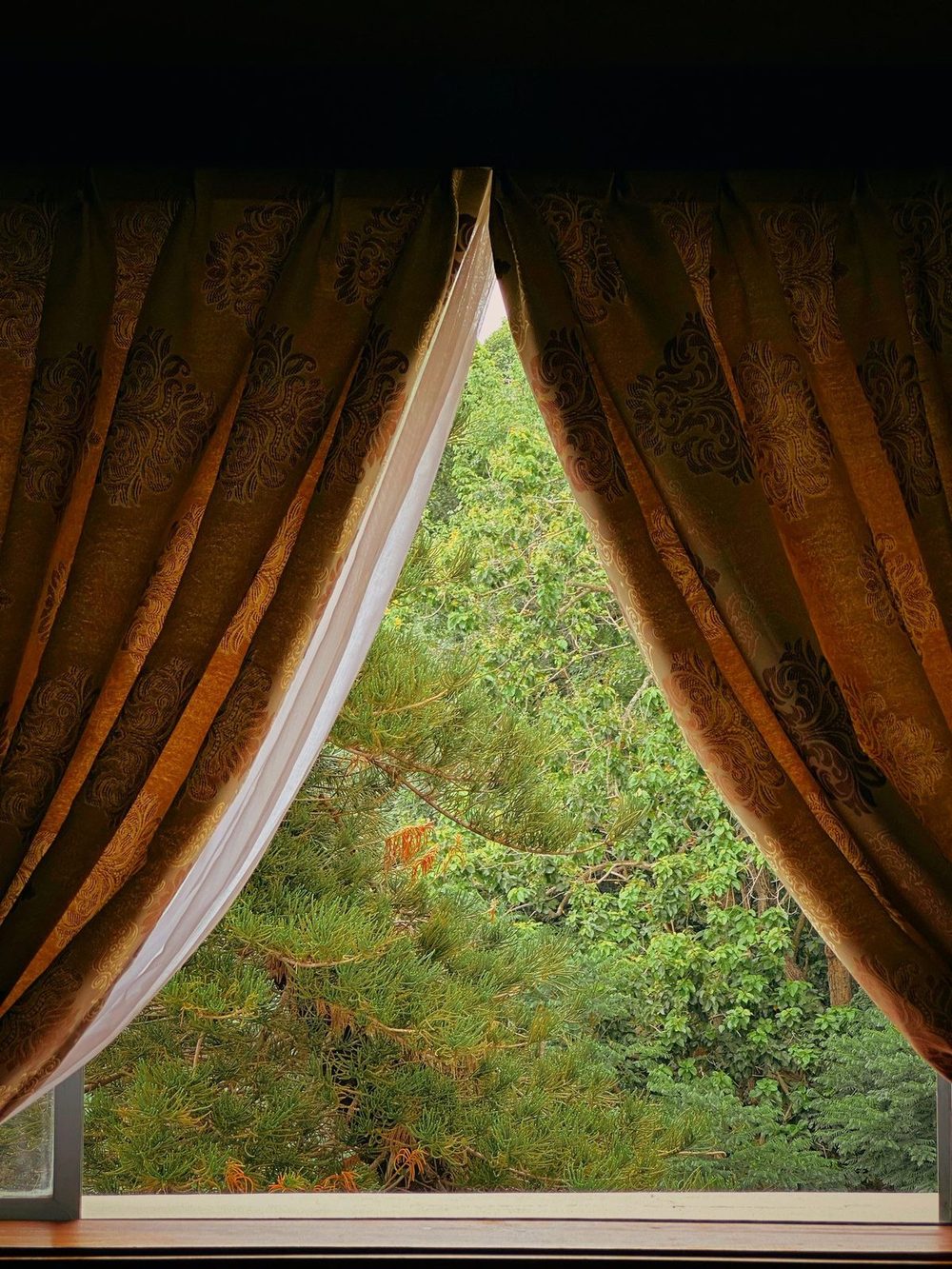 Heavy interlined velvet curtains held back from a tall window